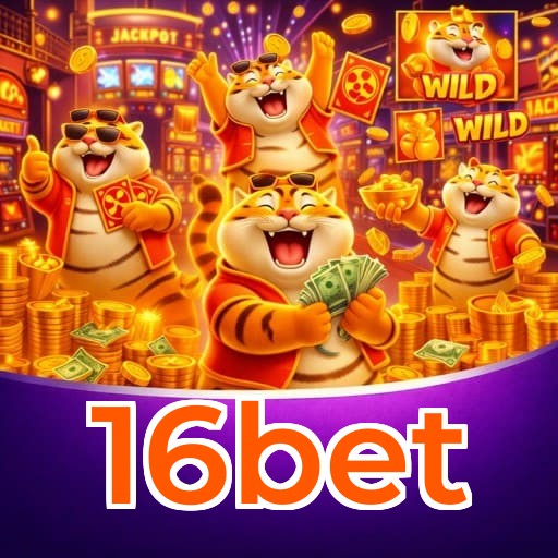 16bet Platform
